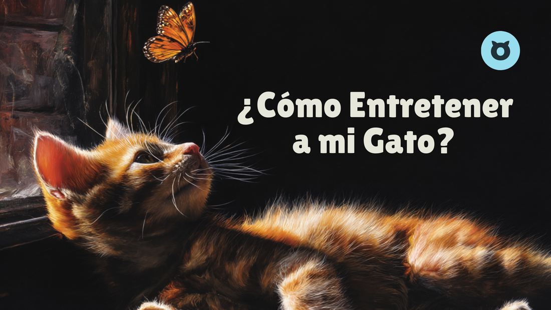 Cómo Entretener a mi Gato: Guía Completa Para Evitar El Aburrimiento Felino