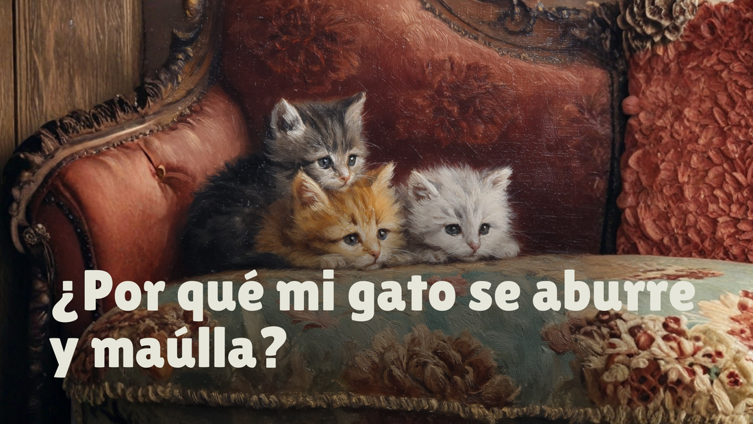 ¿Por qué mi gato se aburre y maúlla? Claves para entender su comportamiento