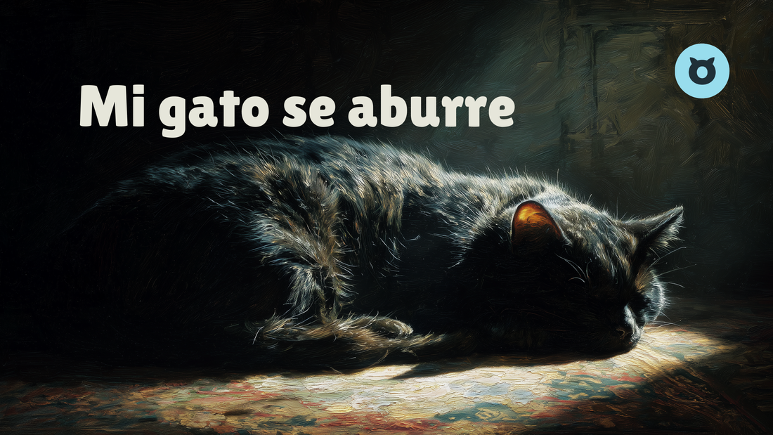 Cómo Saber Si Mi Gato Se Aburre Y Qué Hacer Para Mantenerlo Feliz