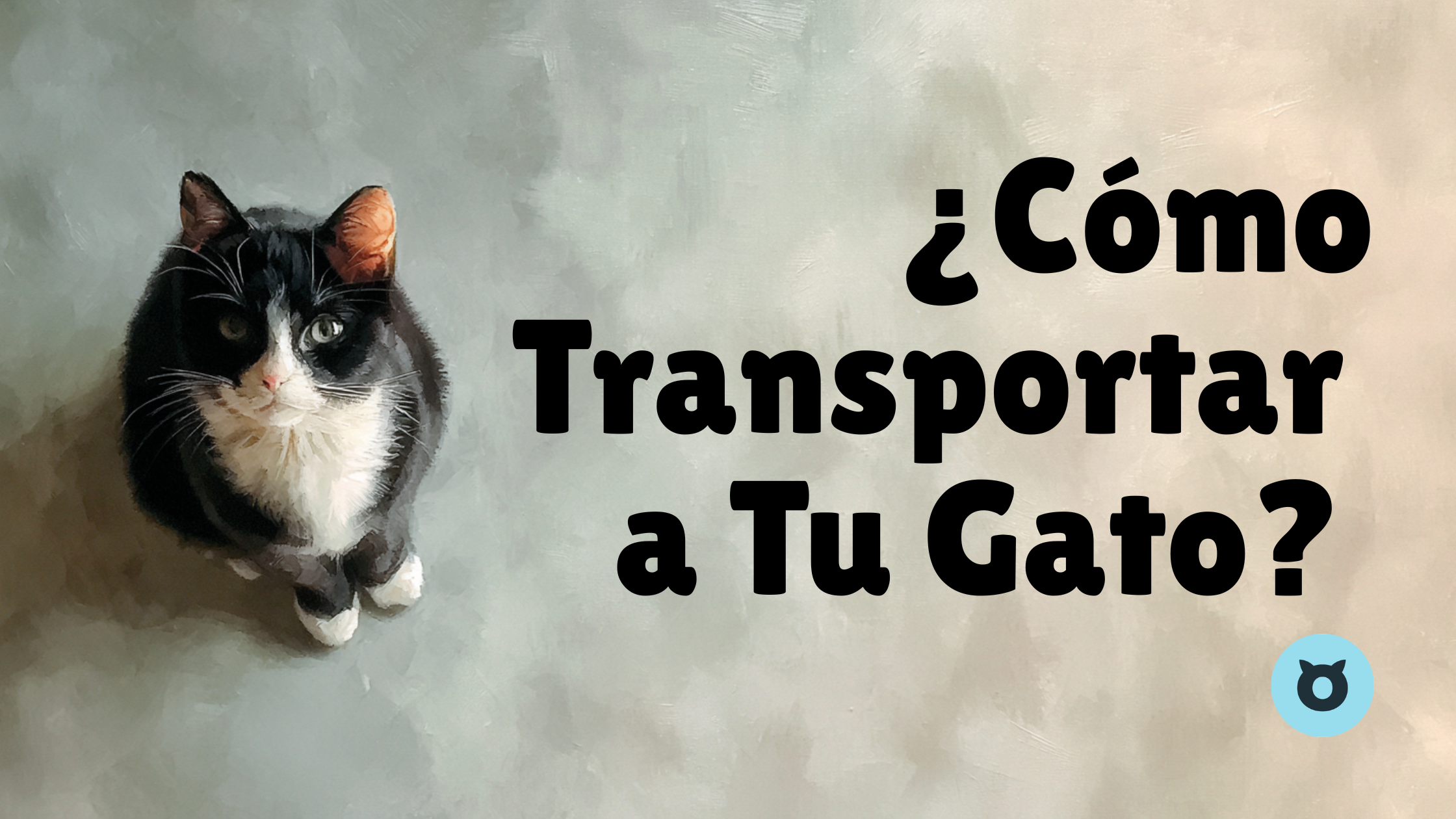 Las 3 Formas Más Seguras de Transportar a Tu Gato