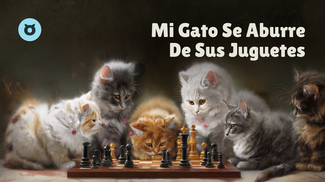Mi Gato Se Aburre De Sus Juguetes: Historias De Gatos Y Cómo Renové Su Diversión