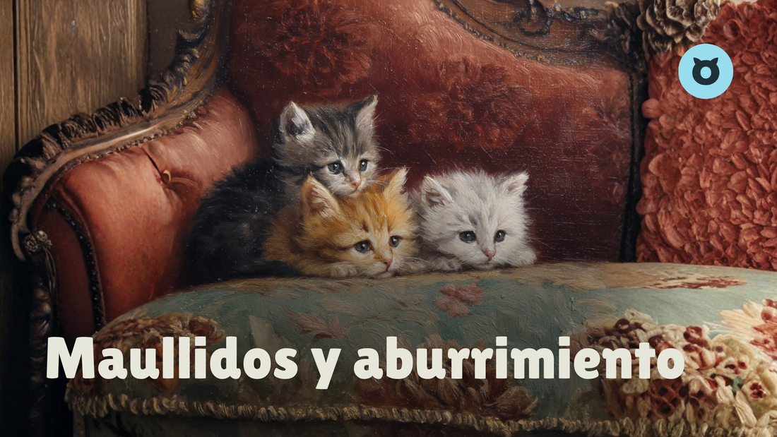 ¿Por Qué Mi Gato Se Aburre y Maúlla? Claves Para Entender Su Comportamiento