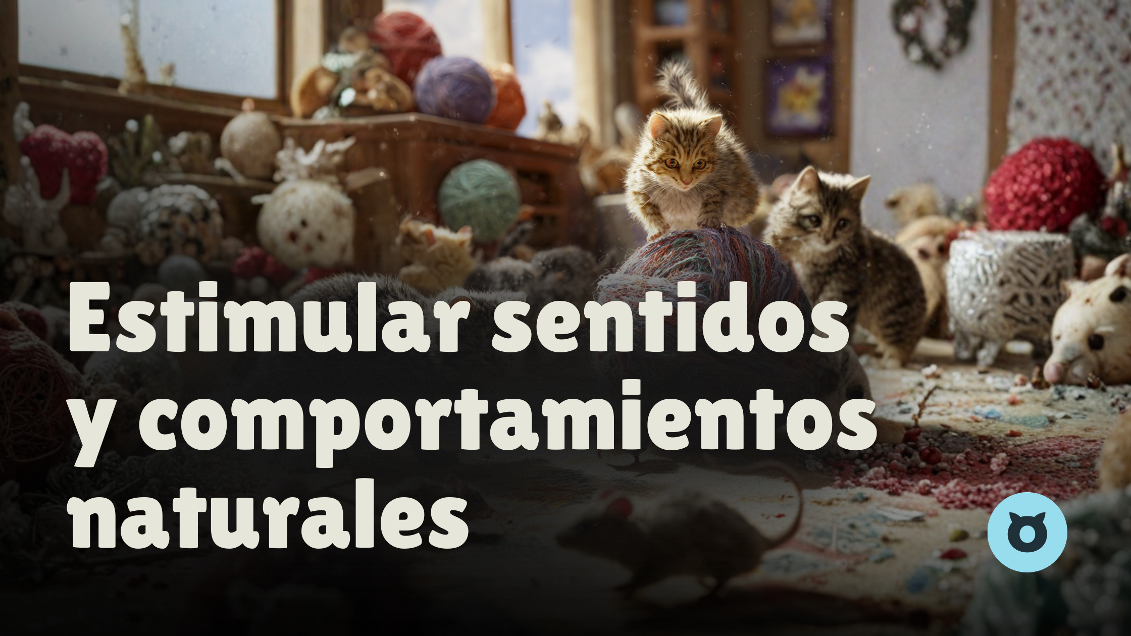 Estimulación y Seguridad: La Ciencia Detrás del Bienestar Felino