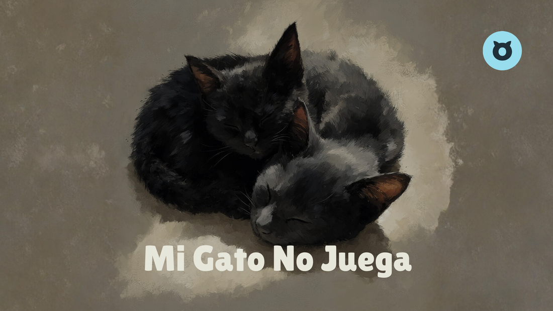¿Por qué mi gato no juega con sus juguetes?