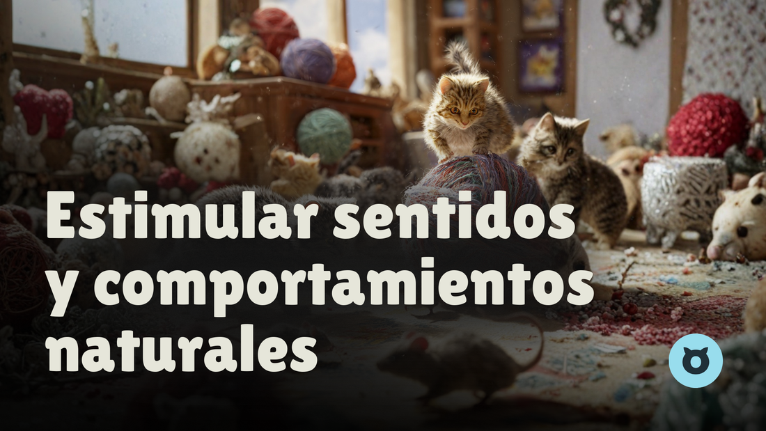 Estimulación y Seguridad: La Ciencia Detrás del Bienestar Felino