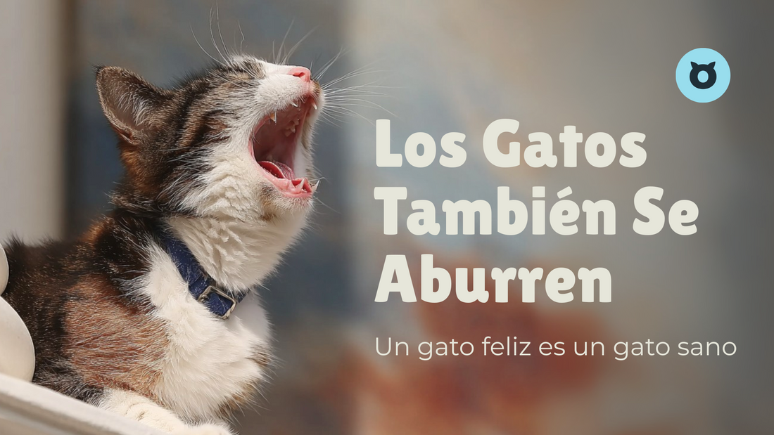 Guía Práctica para Combatir el Aburrimiento en Gatos