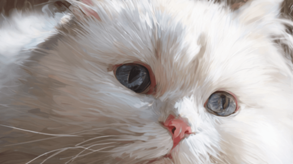 Juguetes Seguros Para Gatos: Guía Completa Para La Seguridad De Tu Felino