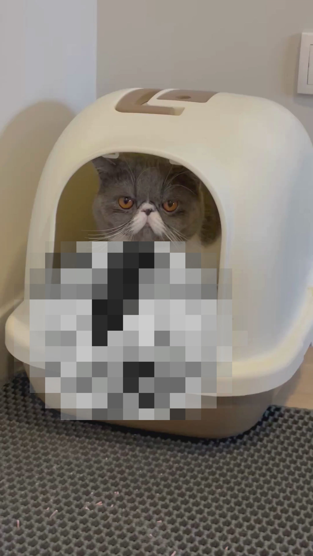 El Guardarena Del Humano | Alfombra Para Arenero