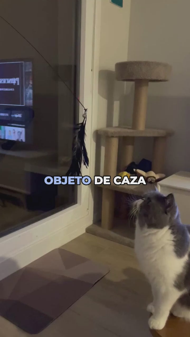 Objeto de Caza Nivel Principiante | Pluma y Campana