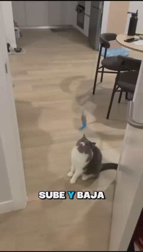 El Yoyo Felino | Juguete Para Gatos de Rebote Automático